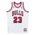 Michael Jordan Chicago Bulls 1995-96
